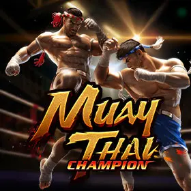 Muay Thai Champion